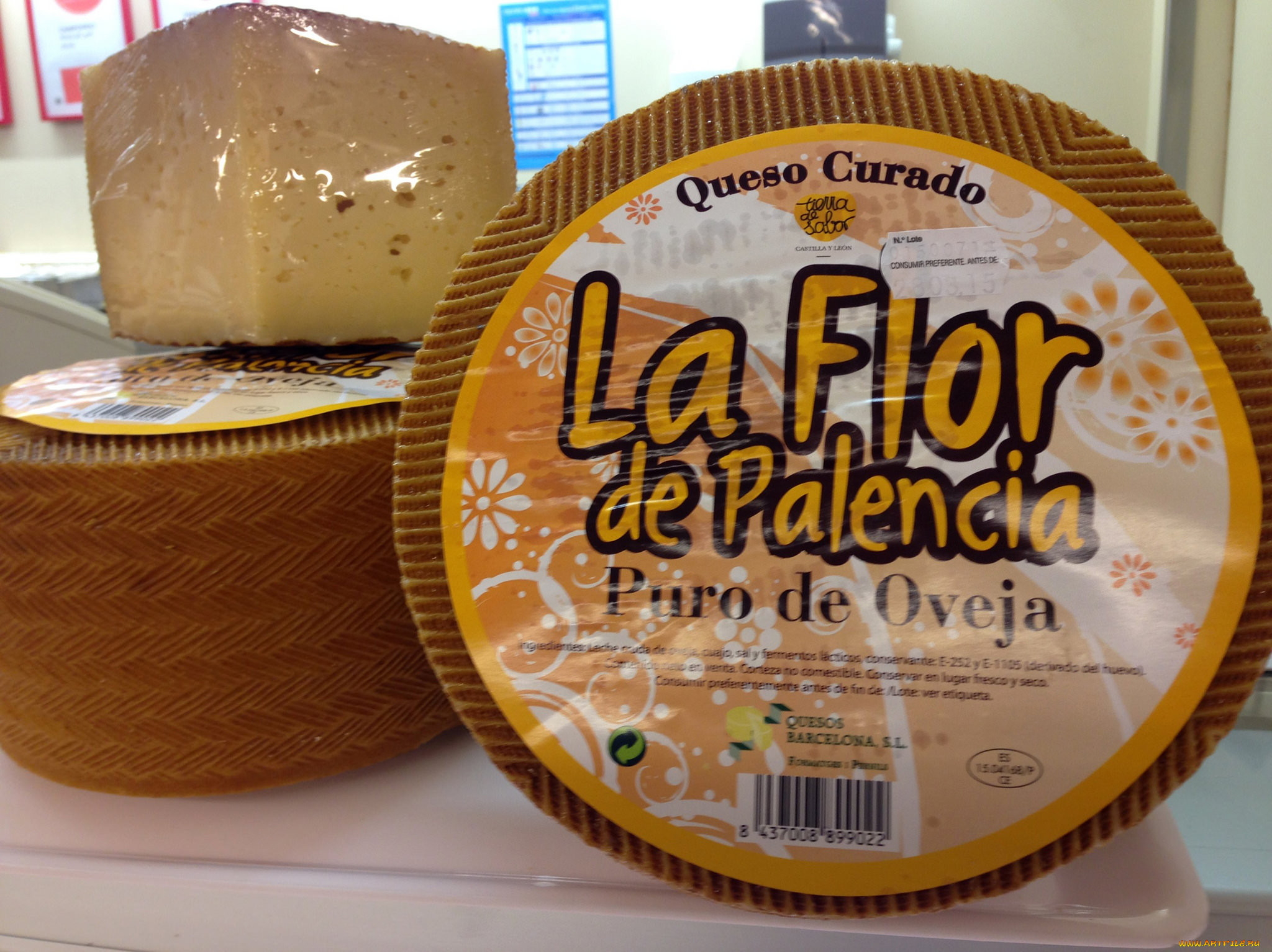 la flor de palencia, ,  , 